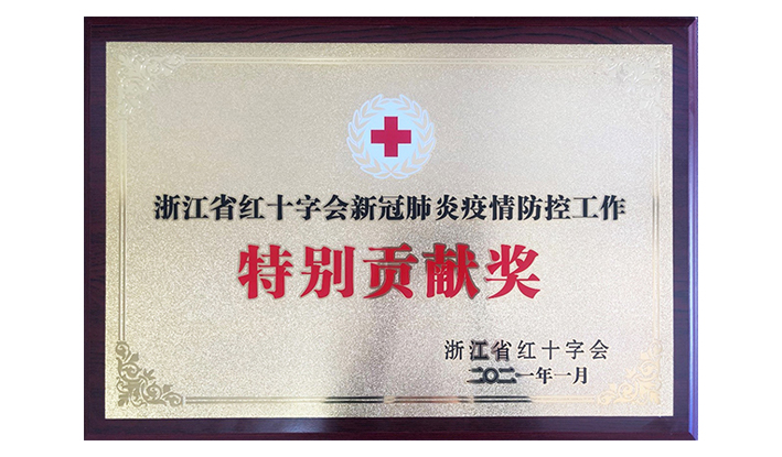 浙江省红十字会授予乐玩在线(中国)“新冠疫情防控特别贡献奖”